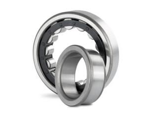 Cylindrical Roller Bearings